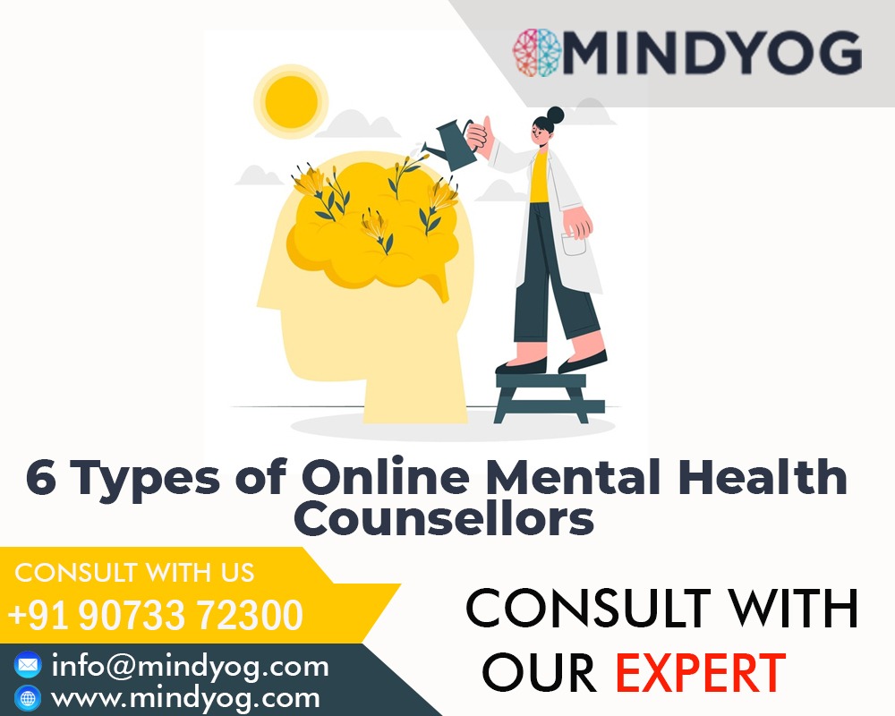 6 Types of Online Mental Health Counsellors